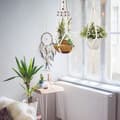 Miniatyrbild 4 av 4: Set med 5 Macramé-växthängare - SODIAL - Olika nivåer - Planteringskärl i bomullsrep - Beige