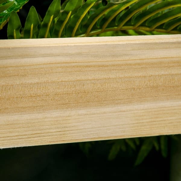 Rootz Højseng med espalier - Forhøjet haveplantekasse - Lodret have - Naturligt træramme - Fremmer sund rodudvikling - 95 cm x 95 cm x 110 cm