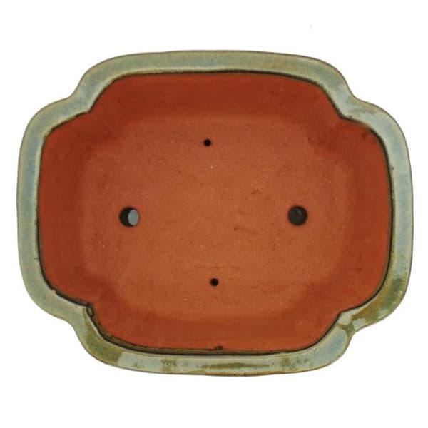 bol bonsai med fat storlek 5 - haitang i4 - brun oliv - l 31,5cm - b 26cm - h 11cm