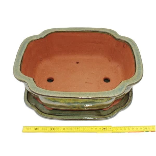 bol bonsai med fat storlek 5 - haitang i4 - brun oliv - l 31,5cm - b 26cm - h 11cm