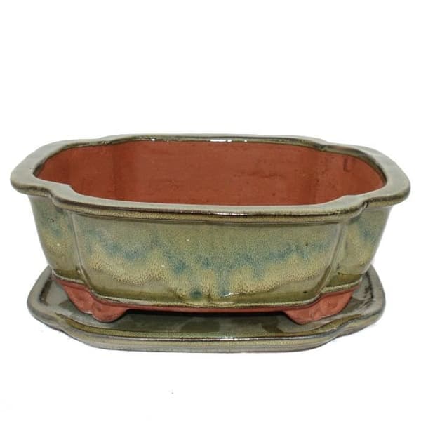 bol bonsai med fat storlek 5 - haitang i4 - brun oliv - l 31,5cm - b 26cm - h 11cm