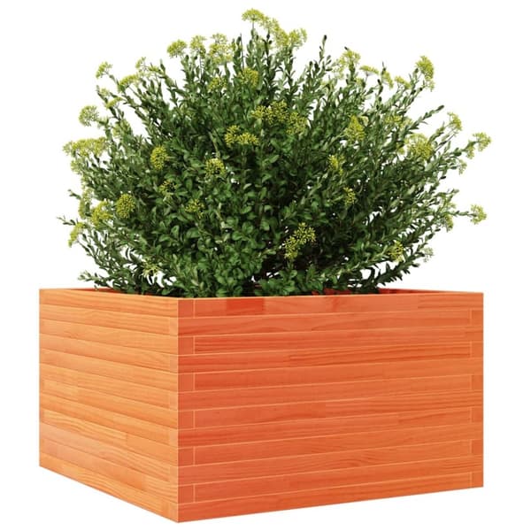 vidaXL Odlingslåda vaxbrun 80x80x45,5 cm massiv furu