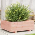 Miniatyrbillede 10 af 10: vidaXL plantekasse 70x70x26,5 cm massivt douglasgran