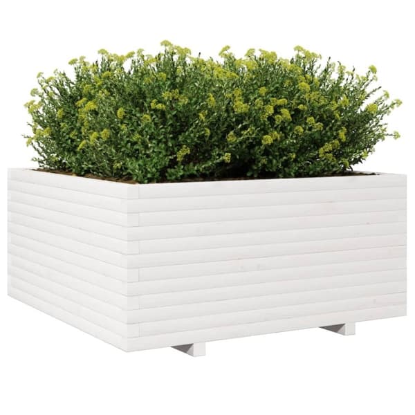 vidaXL plantekasse 100x100x49,5 cm massivt fyrretræ hvid