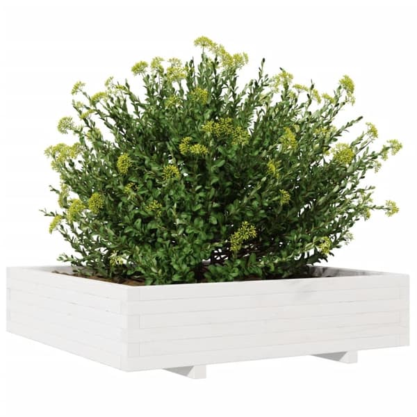 vidaXL Odlingslåda vit 100x100x26,5 cm massiv furu