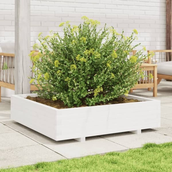 vidaXL Odlingslåda vit 100x100x26,5 cm massiv furu