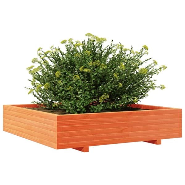vidaXL Odlingslåda vaxbrun 110x110x26,5 cm massiv furu
