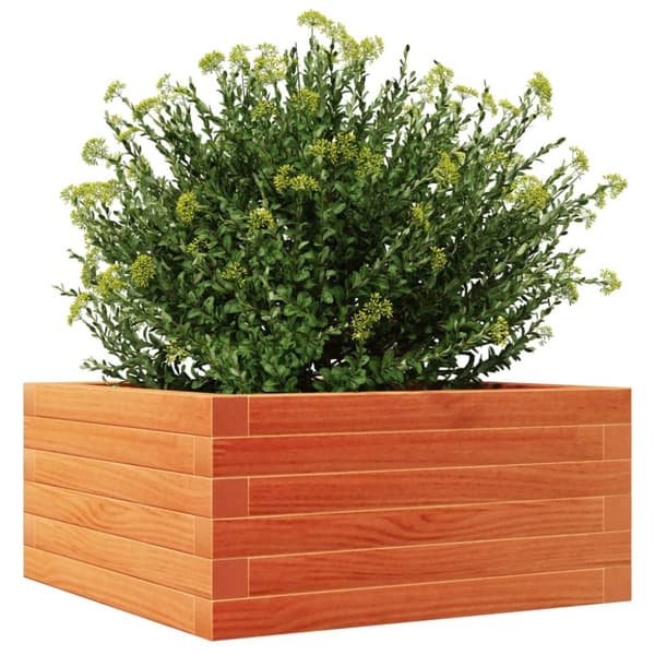 vidaXL plantekasse 50x50x23 cm massivt fyrretræ gyldenbrun