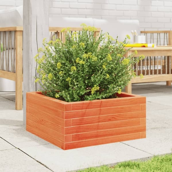 vidaXL plantekasse 50x50x23 cm massivt fyrretræ gyldenbrun