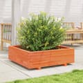 Miniatyrbilde 2 av 10: vidaXL Plantekasse voksbrun 80x80x26,5 cm heltre furu