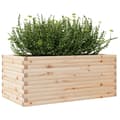 Miniatyrbillede 3 af 10: vidaXL plantekasse 110x60x45,5 cm massivt fyrretræ