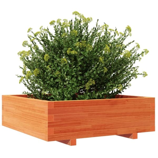 vidaXL plantekasse 80x80x26,5 cm massivt fyrretræ gyldenbrun