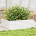 Miniatyrbillede 10 af 10: vidaXL plantekasse 90x60x23 cm massivt fyrretræ hvid