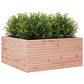 Miniatyrbilde 3 av 10: vidaXL Plantekasse 100x100x46 cm heltre douglasgran