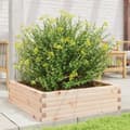 Miniatyrbilde 2 av 10: vidaXL Hageplantekasse 80x80x23 cm heltre furu
