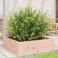 Miniatyrbilde 2 av 10: vidaXL Hageplantekasse 80x80x23 cm heltre douglasgran