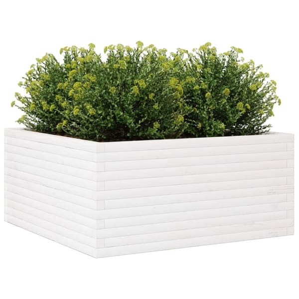 vidaXL Odlingslåda vit 100x100x46 cm massiv furu