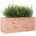 Miniatyrbillede 3 af 10: vidaXL plantekasse 110x40x45,5 cm massivt douglasgran