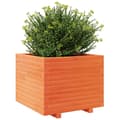 Miniatyrbilde 5 av 11: vidaXL Plantekasse voksbrun 60x60x49,5 cm heltre furu