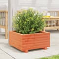 Miniatyrbilde 2 av 10: vidaXL Plantekasse voksbrun 50x50x26,5 cm heltre furu