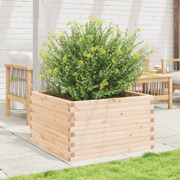 vidaXL Odlingslåda 80x80x45,5 cm massivt furuträ