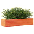 Miniatyrbillede 3 af 10: vidaXL plantekasse 110x40x23 cm massivt fyrretræ gyldenbrun