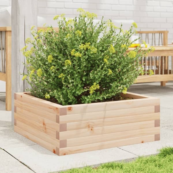 vidaXL Plantekasse 60x60x23 cm heltre furu
