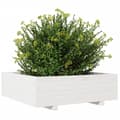 Miniatyrbilde 3 av 10: vidaXL Plantekasse hvit 80x80x26,5 cm heltre furu