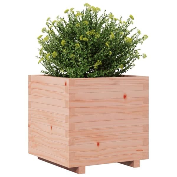 vidaXL plantekasse 50x50x49,5 cm massivt douglasgran