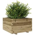 Miniatyrbillede 5 af 11: vidaXL plantekasse 80x80x49,5 cm imprægneret fyrretræ