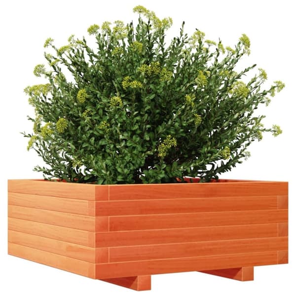 vidaXL plantekasse 60x60x26,5 cm massivt fyrretræ gyldenbrun