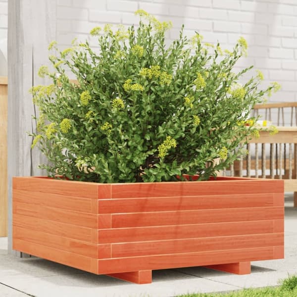 vidaXL plantekasse 60x60x26,5 cm massivt fyrretræ gyldenbrun