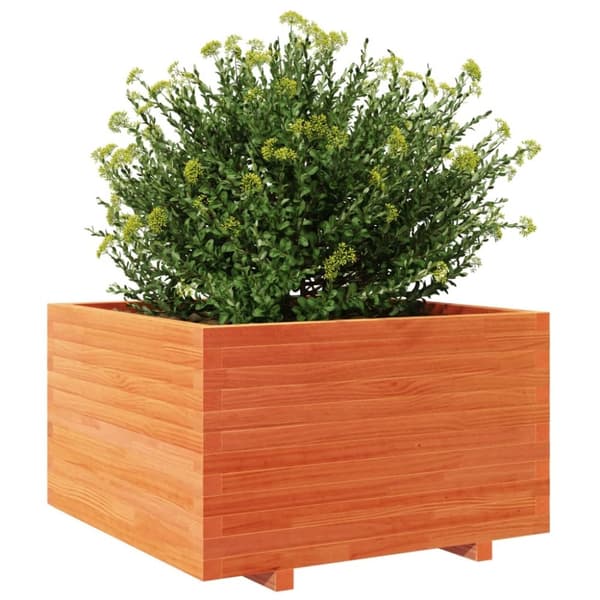 vidaXL plantekasse 80x80x49,5 cm massivt fyrretræ gyldenbrun