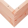 Miniatyrbilde 7 av 10: vidaXL Plantekasse 110x110x46 cm heltre douglasgran