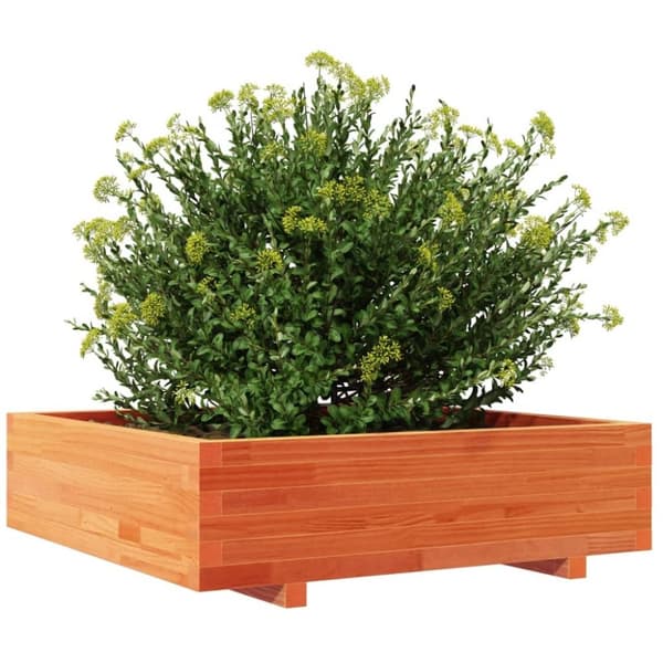 vidaXL plantekasse 90x90x26,5 cm massivt fyrretræ gyldenbrun