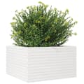 Miniatyrbillede 3 af 10: vidaXL plantekasse 80x80x45,5 cm massivt fyrretræ hvid