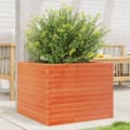 Miniatyrbilde 10 av 10: vidaXL Plantekasse voksbrun 60x60x45,5 cm heltre furu