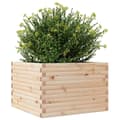 Miniatyrbilde 5 av 11: vidaXL Plantekasser 70x70x46 cm heltre furu