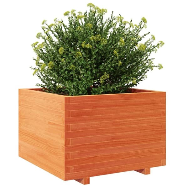vidaXL plantekasse 70x70x49,5 cm massivt fyrretræ gyldenbrun