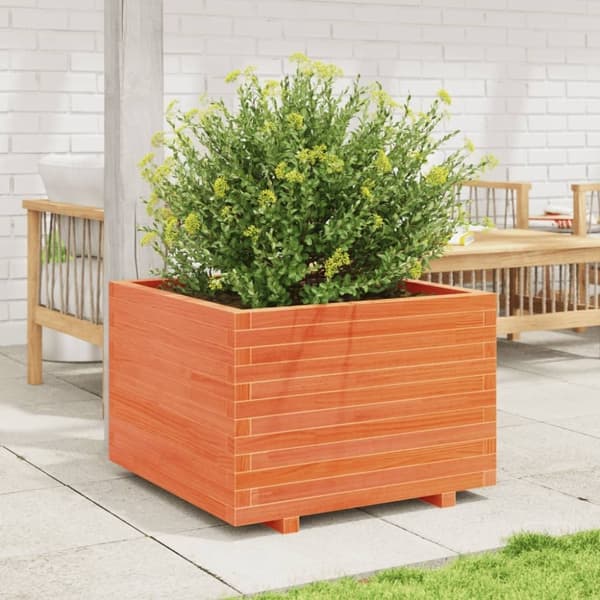 vidaXL plantekasse 70x70x49,5 cm massivt fyrretræ gyldenbrun