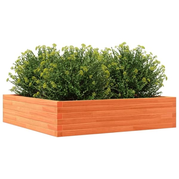 vidaXL plantekasse 100x100x23 cm massivt fyrretræ gyldenbrun