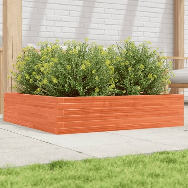 vidaXL plantekasse 100x100x23 cm massivt fyrretræ gyldenbrun