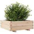 Miniatyrbilde 3 av 10: vidaXL Plantekasse 70x70x26,5 cm heltre furu