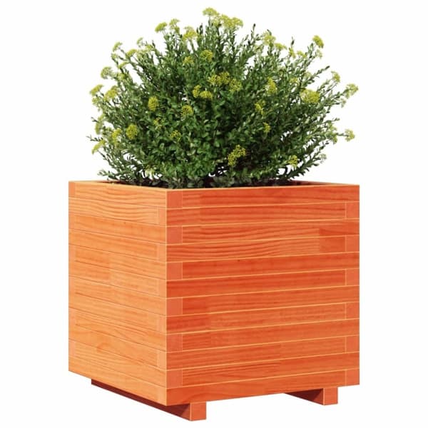 vidaXL plantekasse 50x50x49,5 cm massivt fyrretræ gyldenbrun