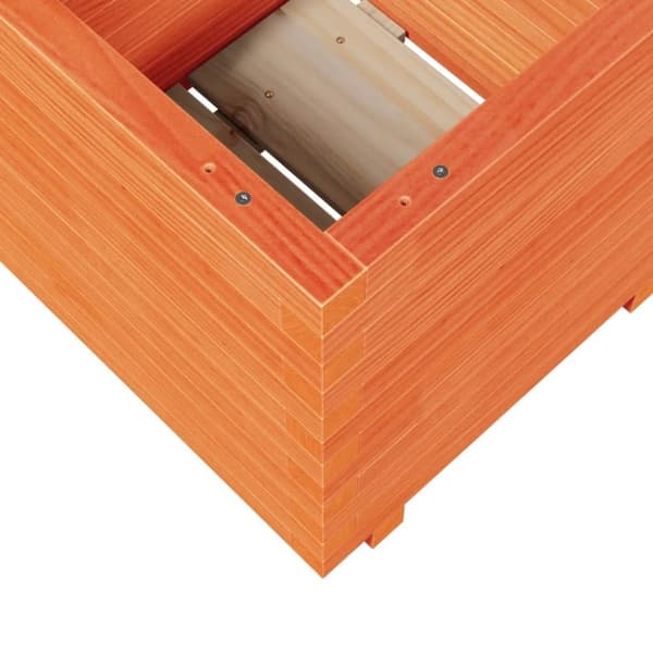 vidaXL plantekasse 50x50x49,5 cm massivt fyrretræ gyldenbrun
