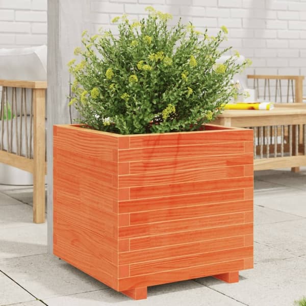 vidaXL plantekasse 50x50x49,5 cm massivt fyrretræ gyldenbrun