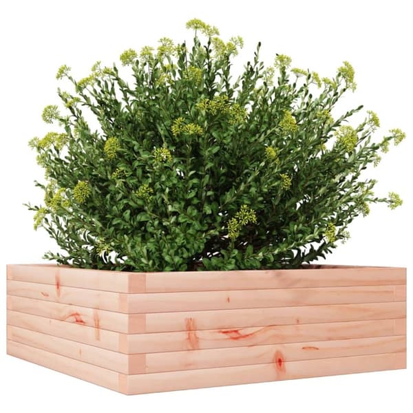 vidaXL plantekasse 70x70x23 cm massivt douglasgran