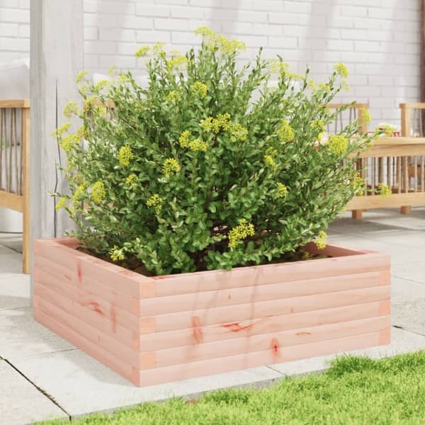 vidaXL plantekasse 70x70x23 cm massivt douglasgran