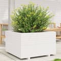 Miniatyrbillede 4 af 11: vidaXL plantekasse 80x80x49,5 cm massivt fyrretræ hvid