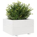 Miniatyrbillede 5 af 11: vidaXL plantekasse 80x80x49,5 cm massivt fyrretræ hvid